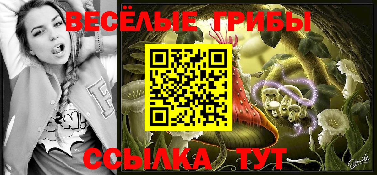 наркота  Галлюциногенные грибы Cubensis  Вход с VPN  Белогорск 