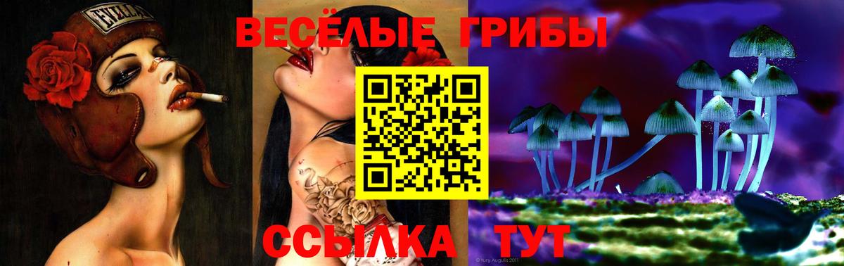 Галлюциногенные грибы MAGIC MUSHROOMS Белогорск